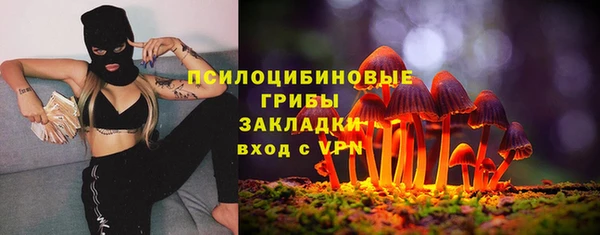 гидра Наволоки