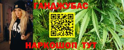 шишки Будённовск