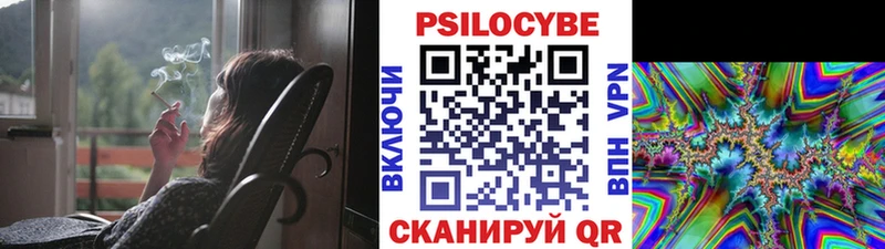 KRAKEN tor  Миллерово  Псилоцибиновые грибы мицелий  цена  