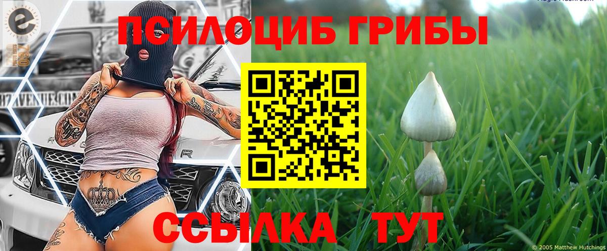 Псилоцибиновые грибы ЛСД Миллерово